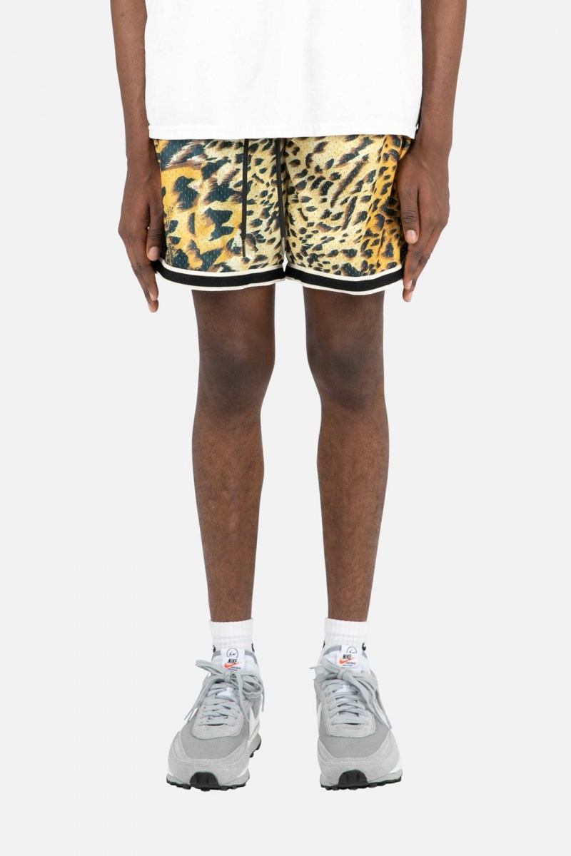 Short Mnml Animal Basketball Shorts Multi Homme | LCI-6025448