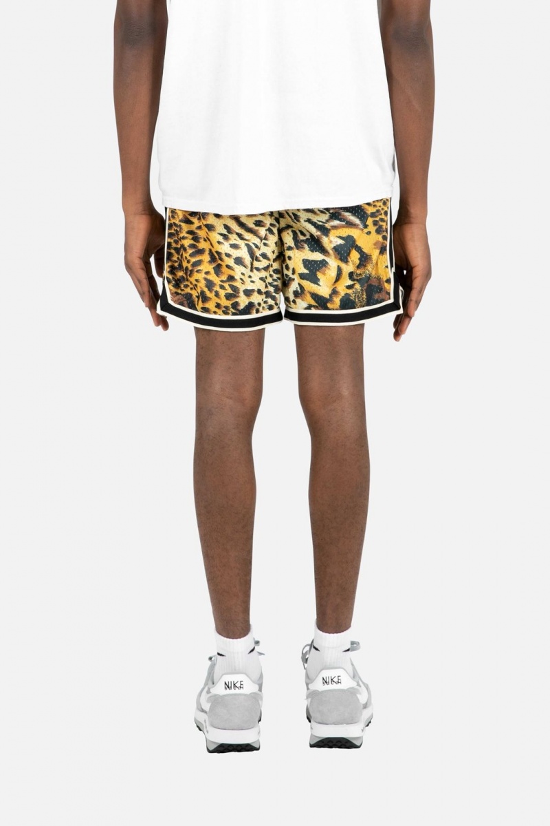 Short Mnml Animal Basketball Shorts Multi Homme | LCI-6025448