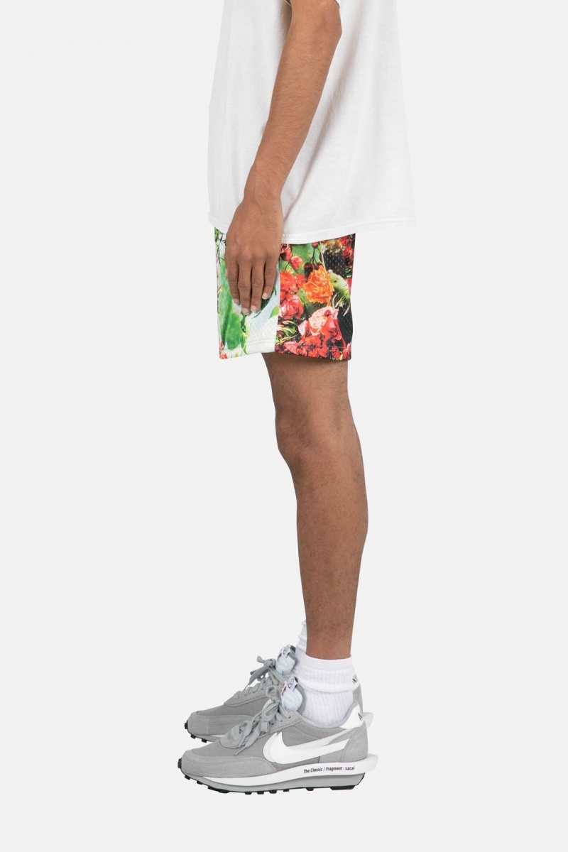 Short Mnml Cactus Mesh Shorts Multi Homme | PBS-3409835