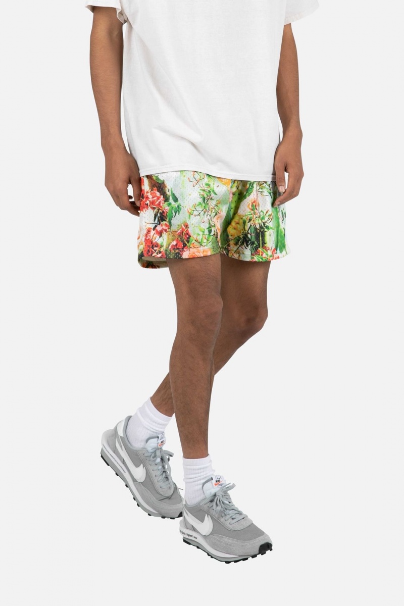 Short Mnml Cactus Mesh Shorts Multi Homme | PBS-3409835