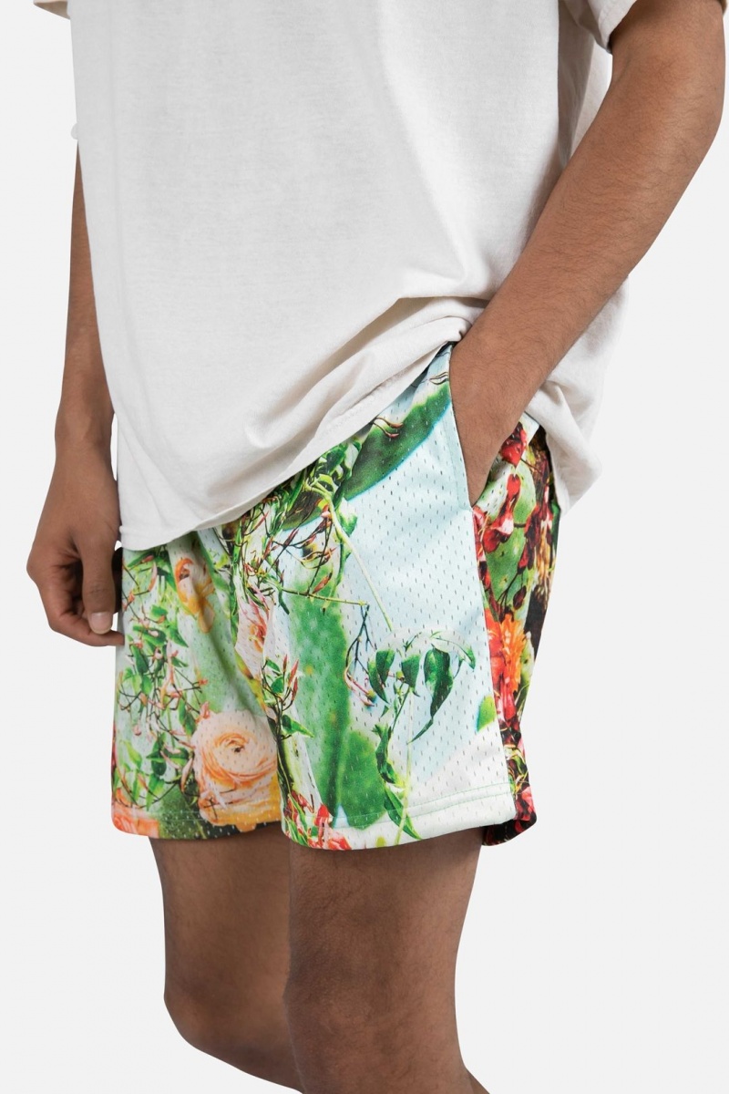 Short Mnml Cactus Mesh Shorts Multi Homme | PBS-3409835